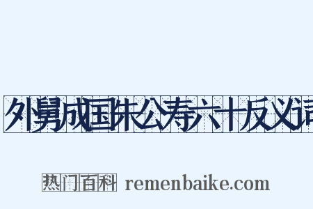 外舅成国朱公寿六十反义词是什么意思的图片